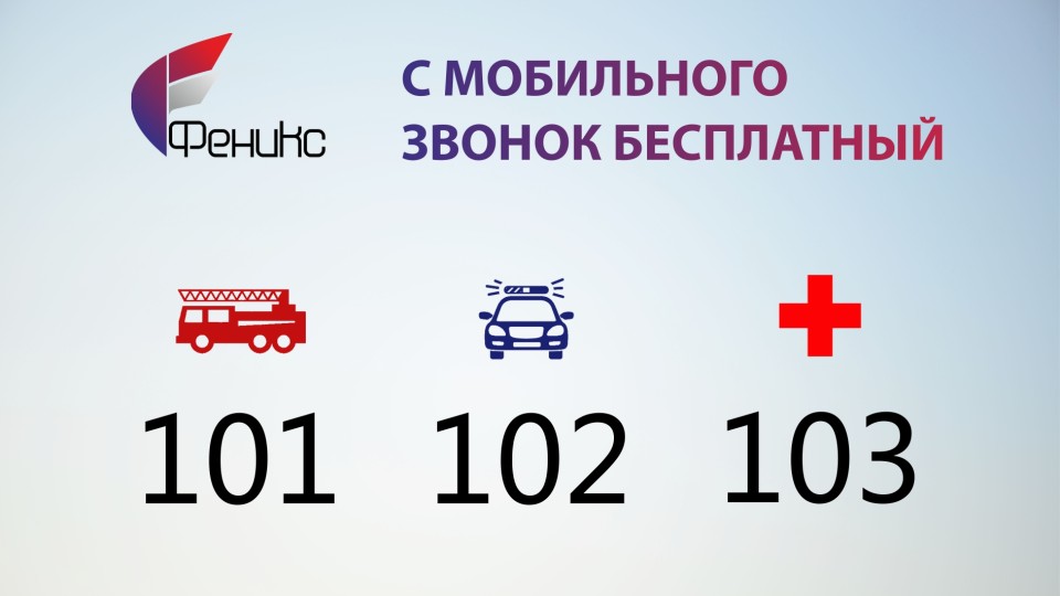 Besplatnyie-nomera-Feniks1.jpg