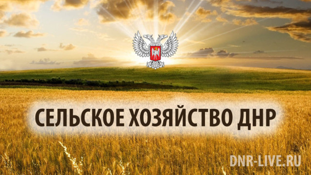Selskoe-hozyaystvo-DNR.jpg