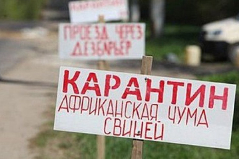 karantin-e1505570988844.jpg