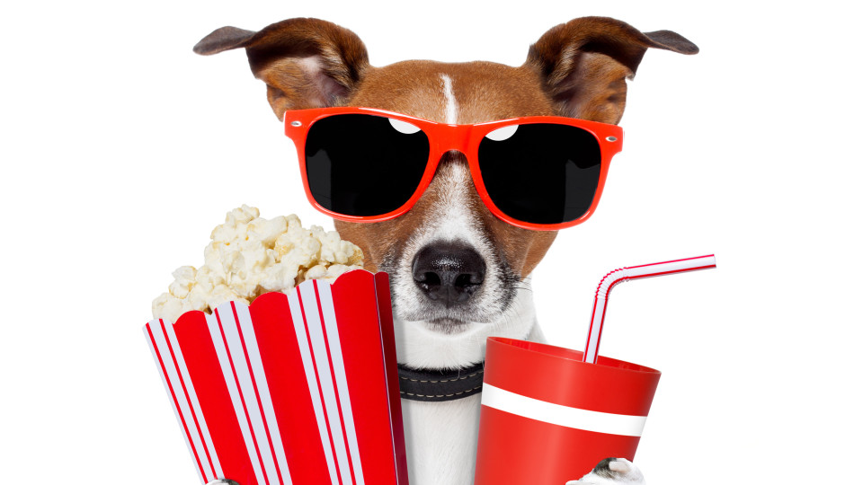 kino-e1508259912260.jpg