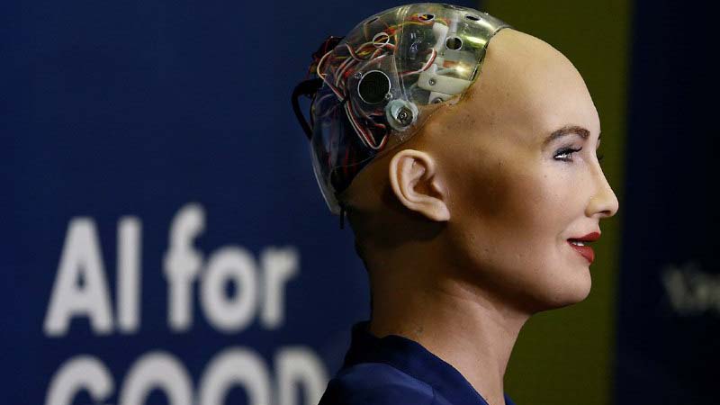 Robota-Sofiyu-slomal-vopros-o-korruptsii-na-Ukraine.jpg