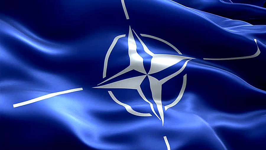 Namereniya-o-chlenstve-v-NATO-planiruyut-zakrepit-v-Konstitutsii-Ukrainyi.jpg