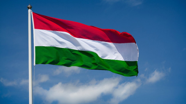 V-Vengrii-planiruyut-sozdat-dvizhenie-v-podderzhku-Donbassa.jpg