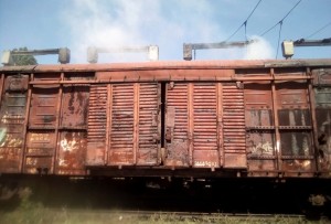 сцкк 7
