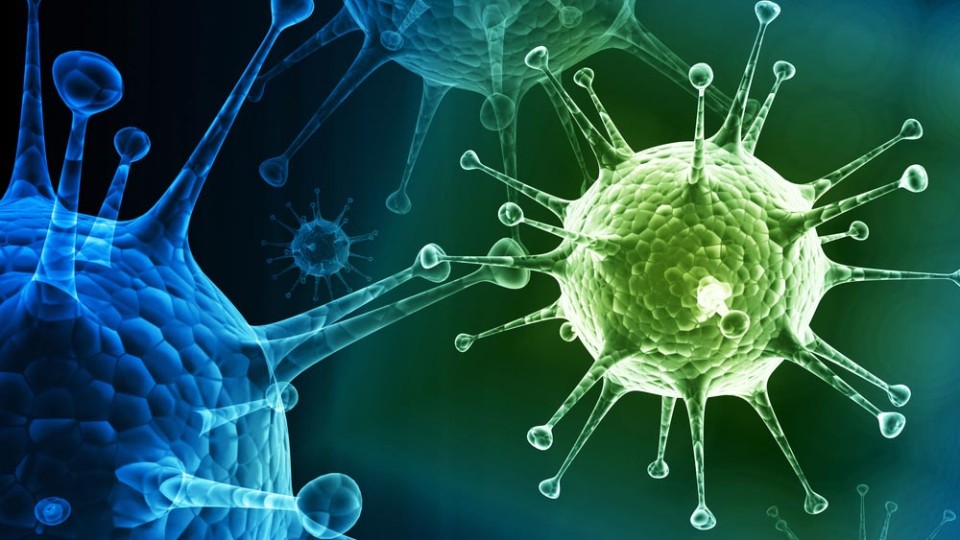 virus-grippa-v-dnr.jpg