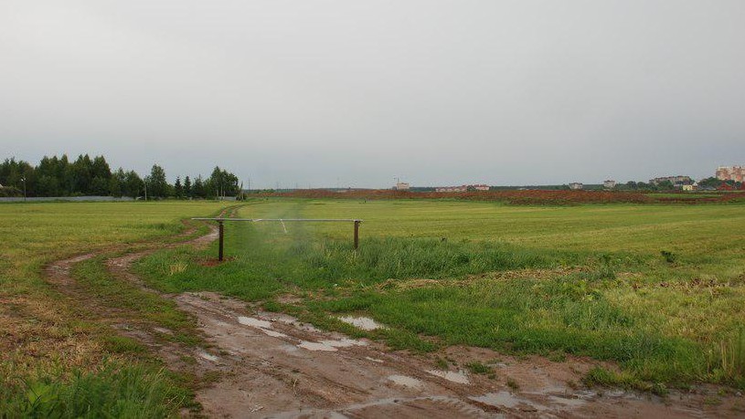 nedra-LNR-e1555488796785.jpg