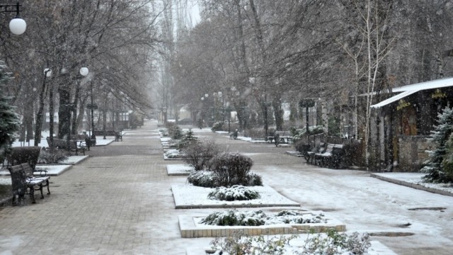 zima-e1580026225805.jpg