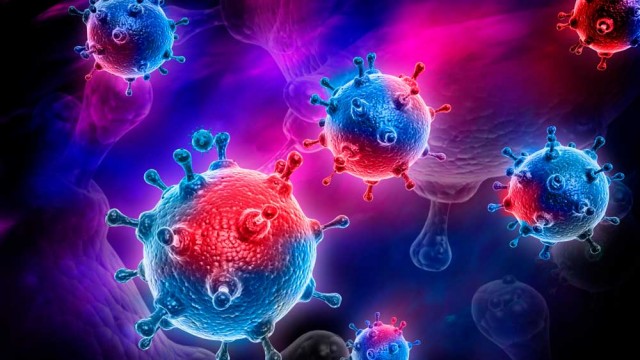 koronavirus.jpg