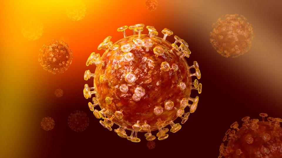 koronavirus-1.jpg