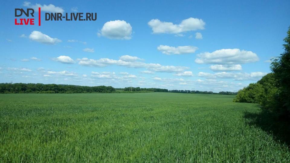 selskoe-hozyaystvo.jpg