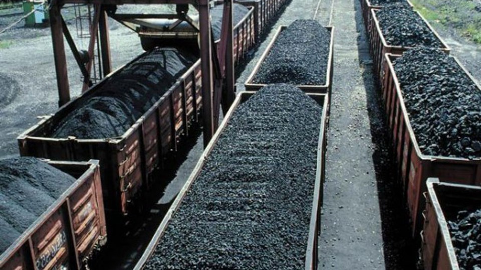ygol-1.jpg