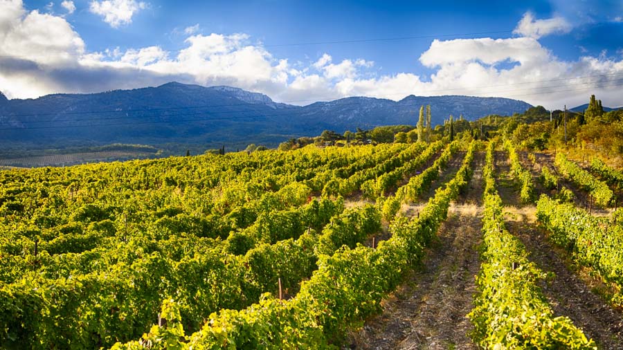 Vpervyie-za-50-let-kryimskoe-vino-poluchilo-vyisokuyu-nagradu-v-Londone-1.jpg