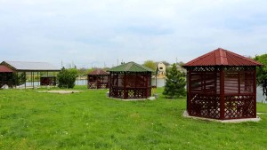 7б
