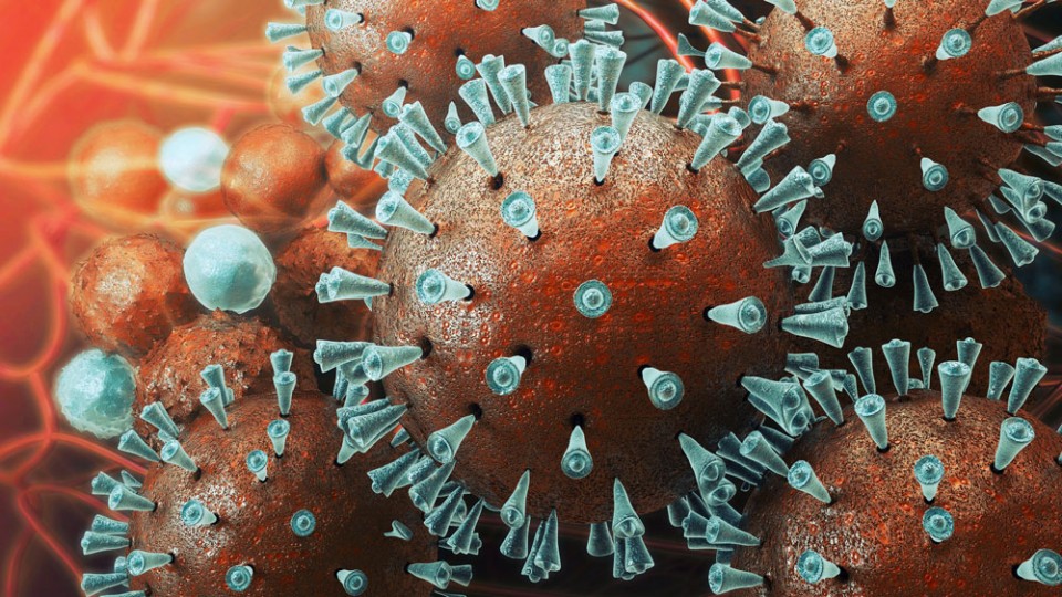 koronavirus.jpg