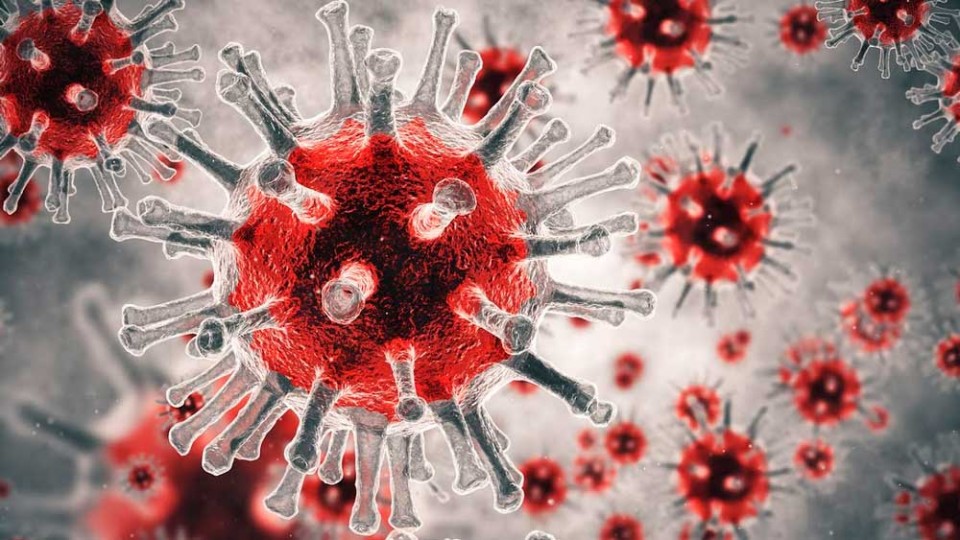 koronavirus-1.jpg